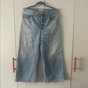 Everlane Light Blue way wide crop size 30